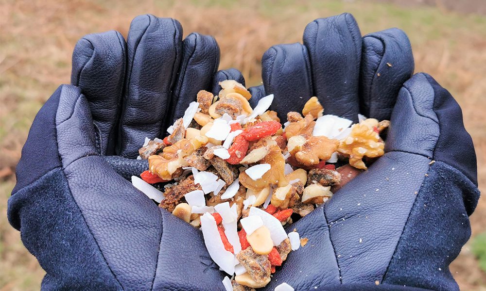 A hand holding some mixed nuts and dried fruit